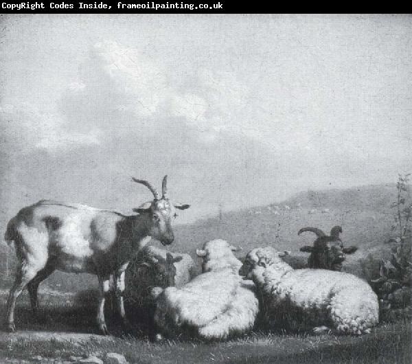 Karel Dujardin Sheep and goats